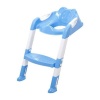 Children's Toilet Ladder Photo
