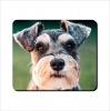 Mouse Pad - Scottie Looking Photo