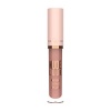 Golden Rose Natural Shine Lipgloss - Nude Delight Photo