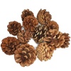 Christmas Tree Pine Cones Christmas Decoration Photo