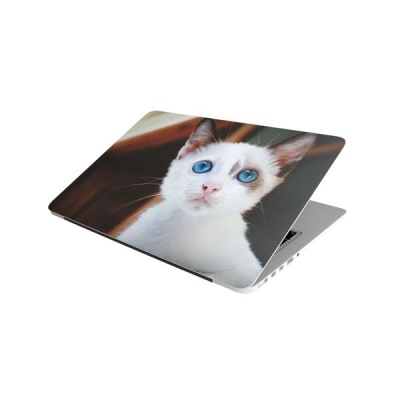 Photo of Laptop Skin/Sticker - Yellow Eyed Cat Grey