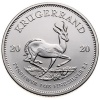 Krugerrand 1 Oz Silver 2020 Photo