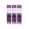 Hints Air Freshener Lavender Garden Aerosol - 3 x 300ml Photo