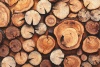 Graffiti Laptop Skin Wood Logs Photo