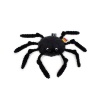 Les Deglingos Les Ptipotos the Spider Plush - L’araignée Photo