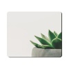Mouse Pad - Succulent Photo