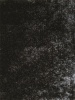 Fluffy Carpets Photo
