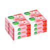 Dettol Soap Skincare - 12 Pack Photo