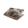 Laptop Skin/Sticker - Cat On Carpet Photo