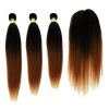 18 20 22 Free Closure Straight Synthetic Package Color 30 Photo