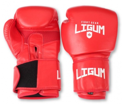 Photo of Ligum Fight Gear Premium Leather Boxing Glove - Red - 14 OZ