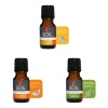 Soil Citrus Essential Oils Bundle Photo