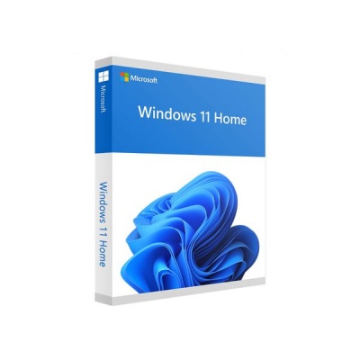 Microsoft Windows 11 Home 64 bit DSP
