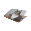 Laptop Skin/Sticker - Cat In Basket Photo