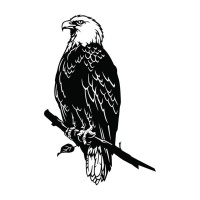 Herqona Metal Bald Eagle Birds Yard Decor Black