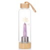 Svasti Wellness Svasti Crystal - Elixir Water Bottle - Amethyst Photo