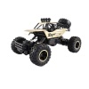 RC Car 1:16 4WD Rock Crawlers Golden Photo