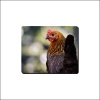 Mouse Pad - Chicken Chicken Photo
