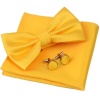 Men Bow Tie Set Photo