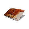 Laptop Skin/Sticker - Cat Sleep Photo