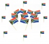 DeBlequy Aankopen - SA Flag Toothpicks - 240 Units Photo