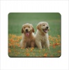 Mouse Pad - Lab Puppies Photo