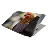 Laptop Skin/Sticker - Chicken Chicken Photo