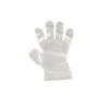 DCLSA Disposable Plastic Gloves x 4 Photo