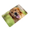Doormat Golden Retriever Sunny Photo