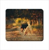 Mouse Pad - Dogs On Road Photo