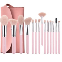 Makeup Brush Set 14 piecess Eye Shadow Portable Soft Makeup Brushes with Case