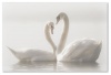 workART Curated Photographic Canvas - Released by Monika Schwager Photo