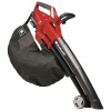 Lawn Star Einhell - 36V Cordless Blower/Vac 36V - No Battery Photo