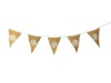 Bunting Snowflakes Photo
