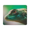 Mouse Pad - Green Reptile Photo