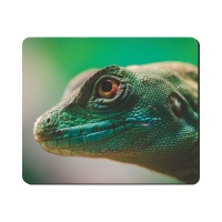 Mouse Pad Green Reptile
