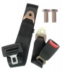 Seat Belt 2 Point Lap Belt Emarked Photo