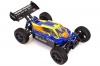 HSP 94995 Planet Brushless RC Buggy Photo