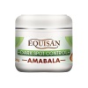 Equisan Dark Spot Control Photo
