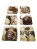 Umlozi Big Five Coasters- 12 Pack Photo