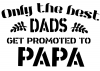 Only the best DAD get promoted to PAPA Stencil Photo