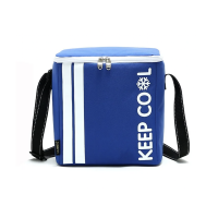 Modern 10L Thermal Insulated Cooler Bag