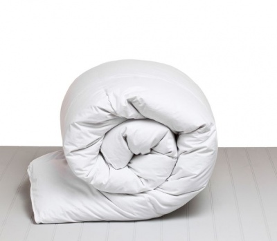 Photo of Lifson Products Royal Comfort Goose Feather & Down Duvet Inner