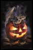 Anne Stokes - Trick or Treat Poster with Black Frame Photo