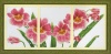 Dome cross stitch kit- Cymbodium Photo