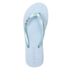 Holster Shoes