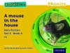 Read Write Inc. Phonics: Yellow Set 5 Non-fiction 5 A Mouse in the House Photo