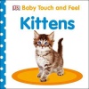 Baby Touch and Feel Kittens Photo