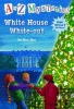 White House White-Out Photo