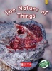 The nature of things Photo